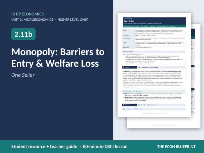 IB Economics 2.11b Monopoly | Barriers to Entry & Welfare Loss | HL Only