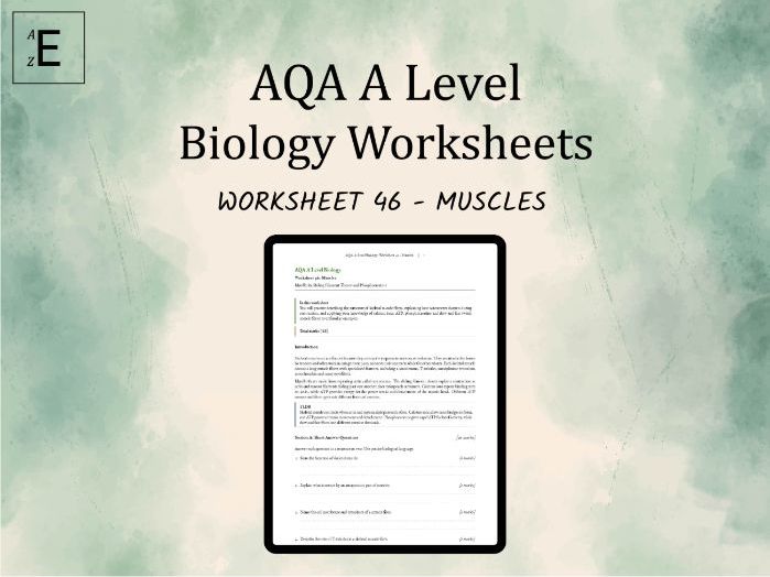 AQA A Level Biology Worksheet 46 - Muscles