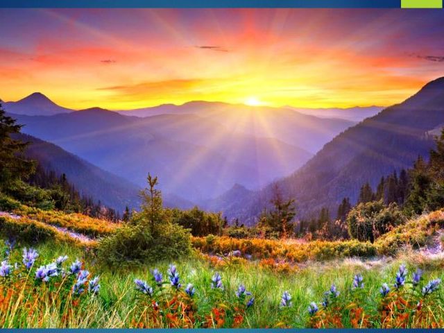 Descriptive Writing - Lesson 1 - Creating a Bank of Adjectives