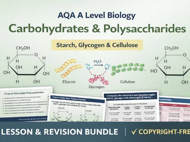 AQA A Level Biology – Carbohydrates & Polysaccharides (Starch, Glycogen & Cellulose)