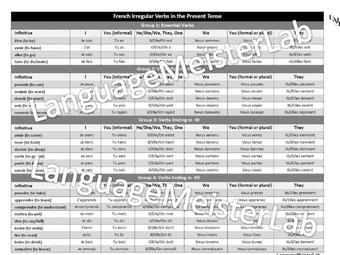 French Irregular Verbs in the Present Tense Learning Aid Poster