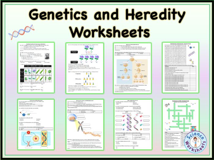 Genetics and Heredity - Worksheets | Printable and Distance Learning