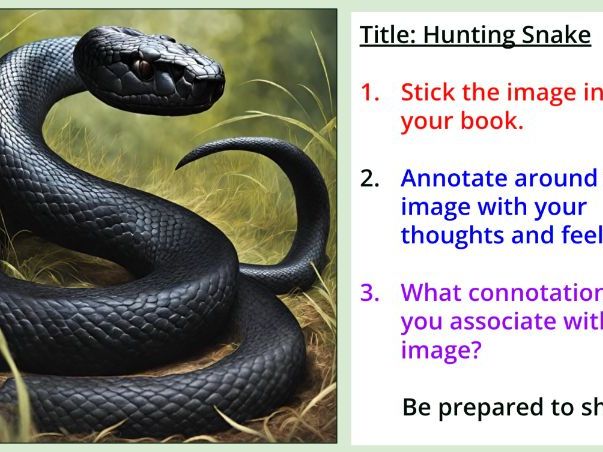 Judith Wright, ‘Hunting Snake