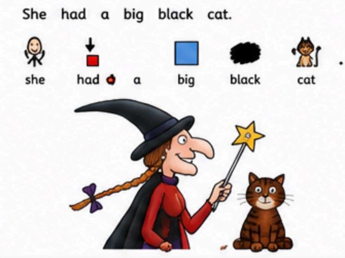 Room on the Broom – Widgit Symbol Adapted Book