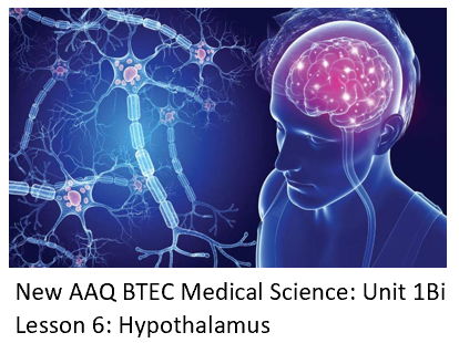 NEW: AAQ BTEC Medical Science Unit 1B Nervous System - Lesson 6 Hypothalamus
