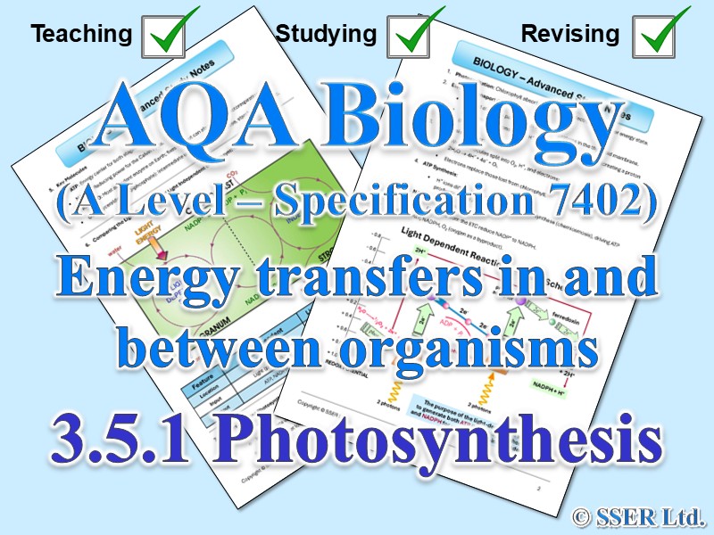BIOA_AQA Topic Notes: 3.5.1 Photosynthesis