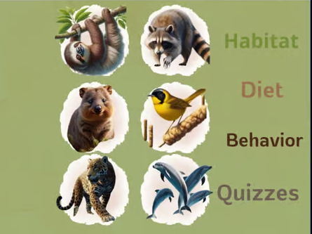 Wild Wonders: A to Z Encyclopedia of the Animal Kingdom