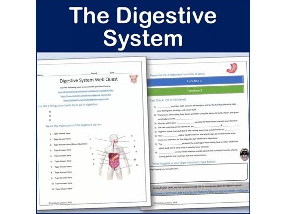 Digestive System Webquest | Editable Digital Science Activity