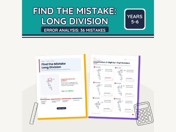 Find the Mistake: Long Division