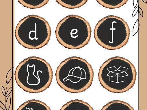 CVC pictures letters on wood slices EYFS GPCs phonics