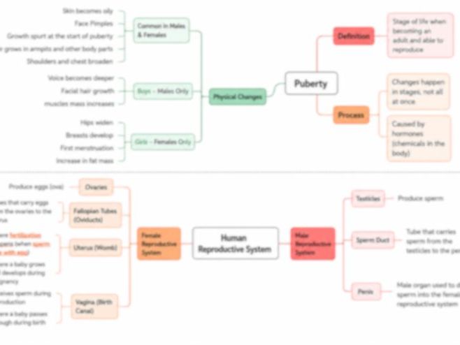 Cambridge Primary Science 6: 1.3 The Reproductive System Mind Map
