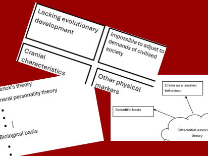 Explanations of offending behaviour revision
