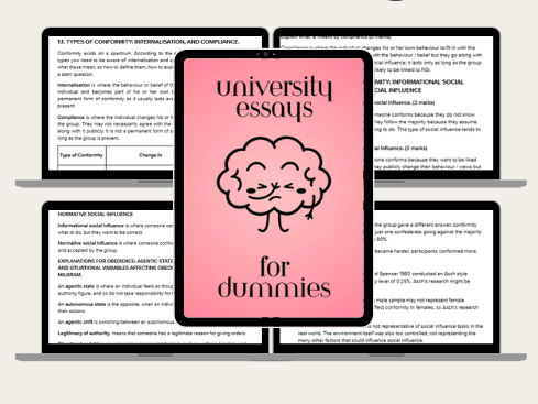 How to Write University Essays For Dummies *With Examples*