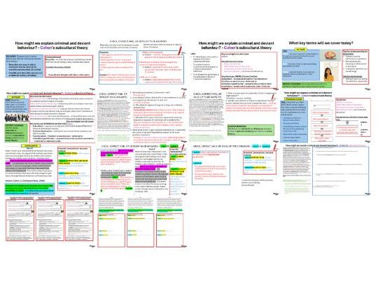 AQA GCSE Sociology: Crime and Deviance Topic 3 - Explanations of crime (Cohen’s subcultural theory)