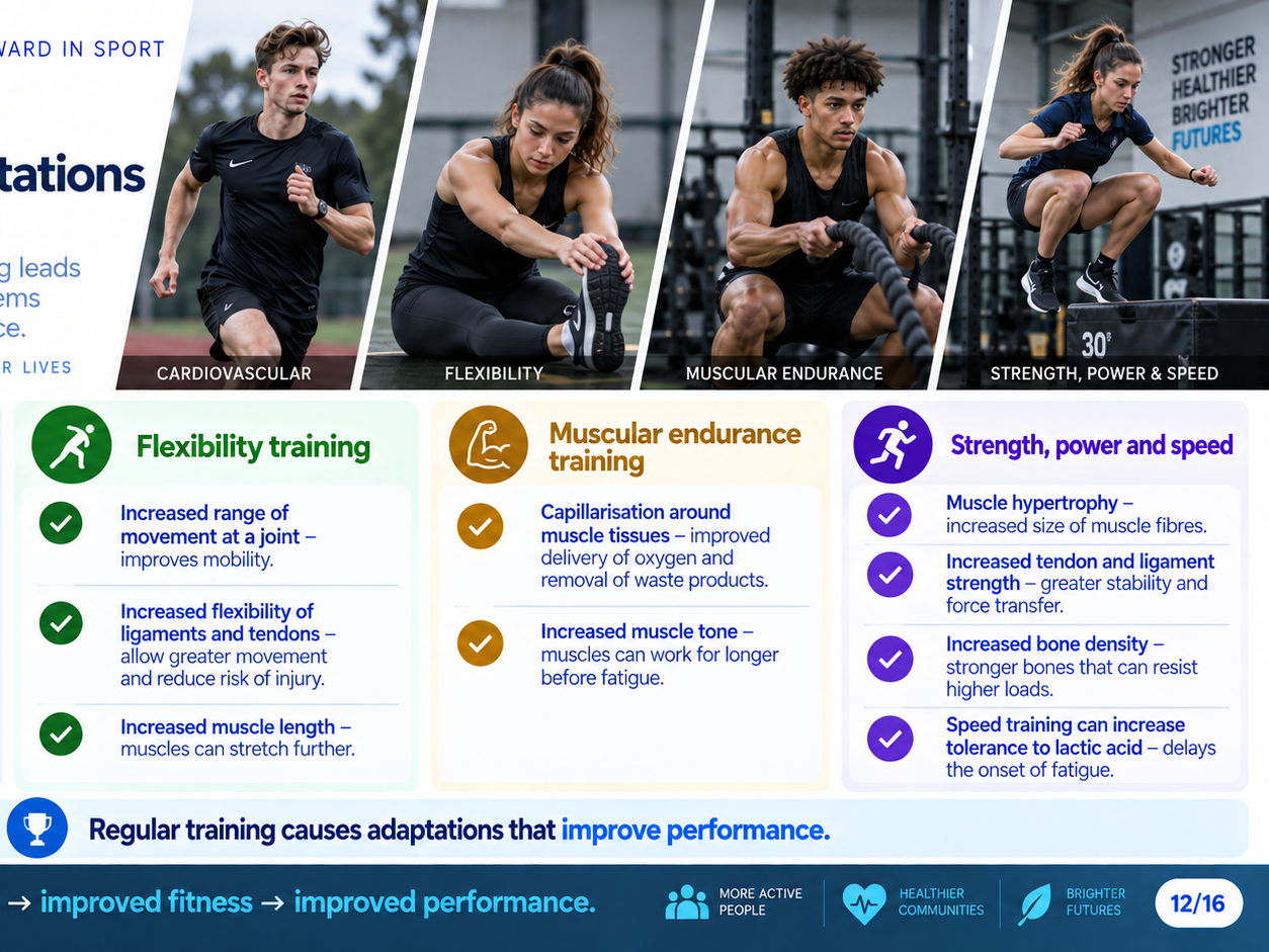 BTEC Tech Award Level 1/2 in Sport- Component 1,2 and 3 visuals