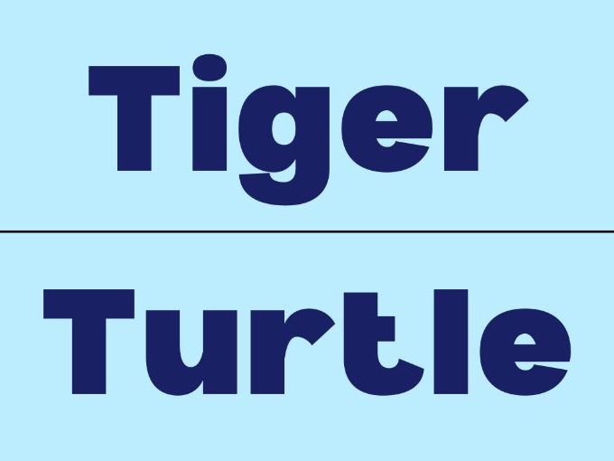 Simple Phonetics Letter T Alphabet Flashcards