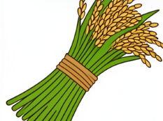 Empires East and West c.1000 - Song China: Innovation and Society