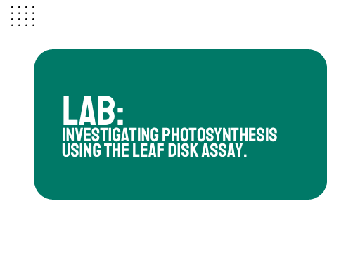 AP Biology Unit 3: Laboratory Activity - Investigating Photosynthesis