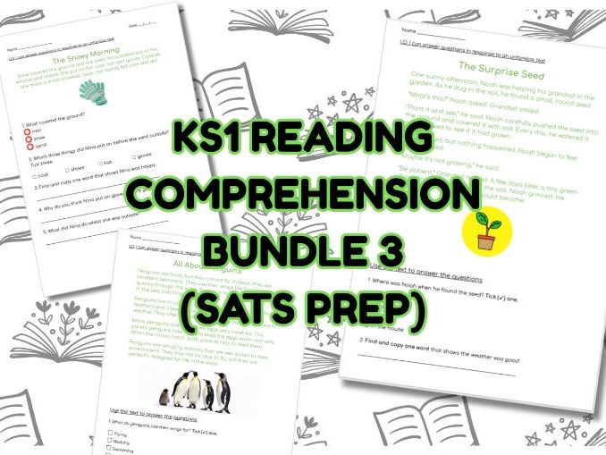 KS1 READING COMPREHENSION BUNDLE (SATS PREP)
