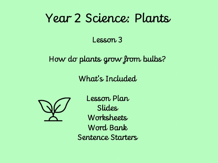 Year 2 Science: Plants | Lesson 3 | How Bulbs Grow into Plants
