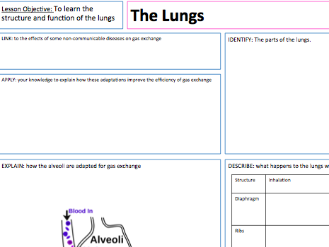 The Lungs - Lesson Presentation, A3 Lesson Map