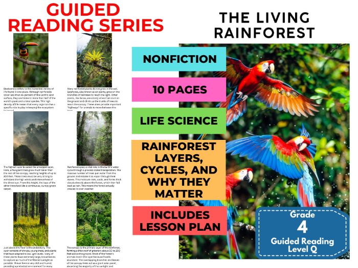 Year 4 Guided Reading Level Q - Rainforest (with Lesson Plan)
