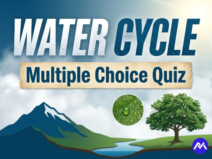 Water Cycle Multiple Choice Quiz for Year 6 Geography - KS2