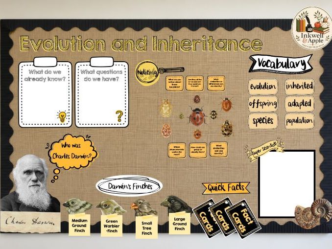 Display Pack Year 6 Science Evolution and Inheritance | Working Wall