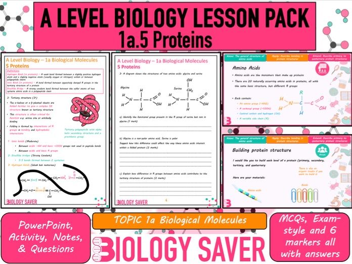 A Level Bio Lesson - 1a.5 Proteins