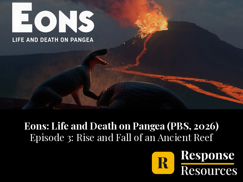 Eons Life and Death on Pangea Ep 3 Ancient Reef Video Worksheet + Google Forms