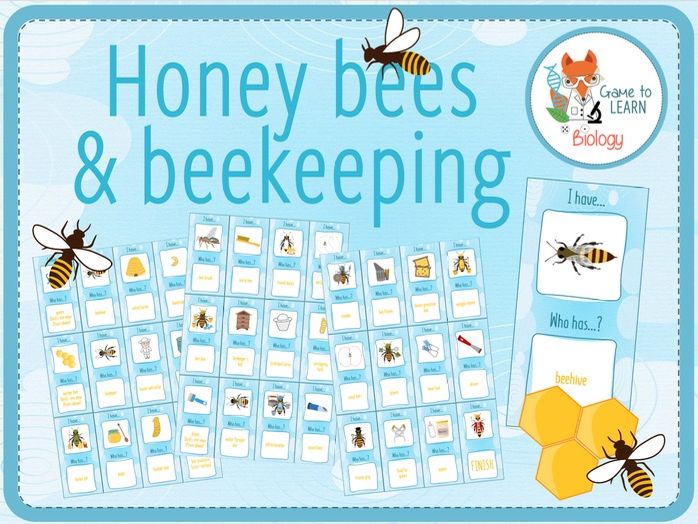 Honey bees & Beekeeping - "I have..., who has...?" Game (KS3/4)