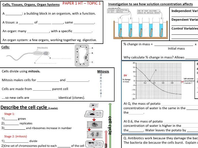 Multiple AQA Biology Revision Resources. 2026. FT&HT ‘Knowledge Organiser’ style. Trilogy.Spec focus