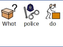 What police officers do