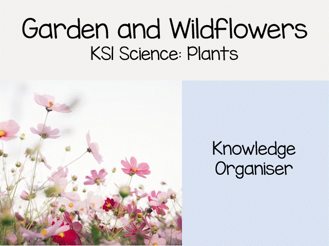 Garden and Wild Plant Knowledge Organiser
