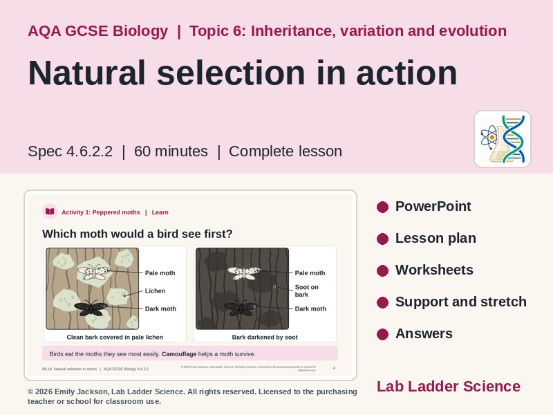 B6-16 Natural Selection in Action: AQA GCSE Biology