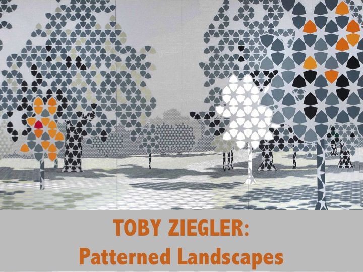 Toby Ziegler - Patterned Landscape Activity