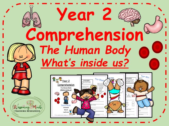 KS1 Reading - The Human Body Comprehension