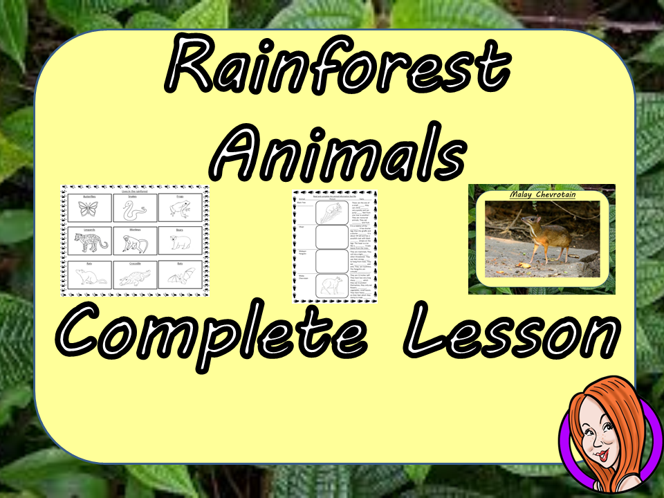 Identifying Rainforest Animals  -  Complete STEAM Lesson