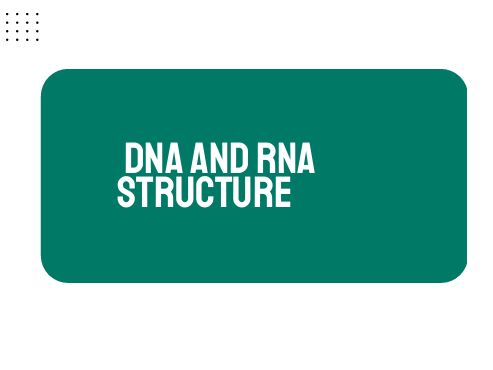 AP Biology Unit 6: DNA and RNA Structure