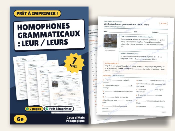 French Homophones leur / leurs Worksheet Grade 6 | Les homophones leur / leurs