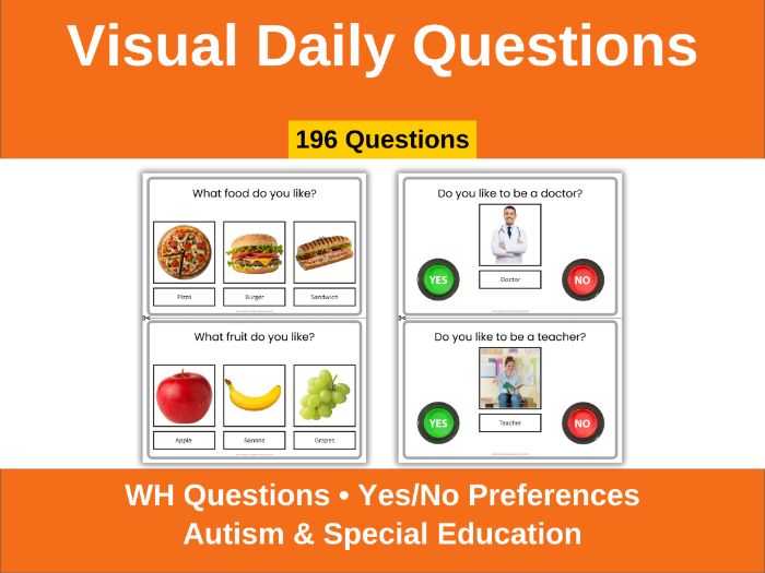 Visual WH & Yes No Questions | Autism