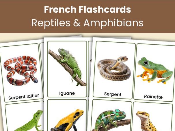 French Reptiles and Amphibians Flashcards | 24 Printable Vocabulary Flashcards