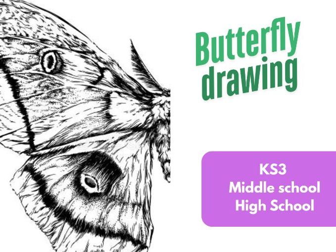 Butterfly Drawing - Great cover lesson or drawing Practise.
