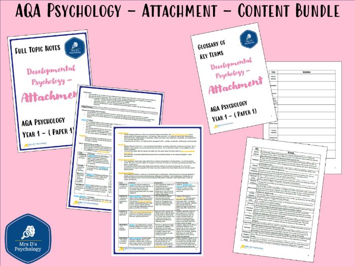 Attachment (AQA Psychology) - Full Topic Notes & Glossary (New Spec - A Level Exams 2027)
