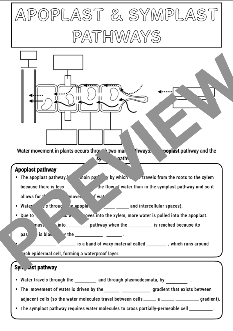 pdf, 289.25 KB