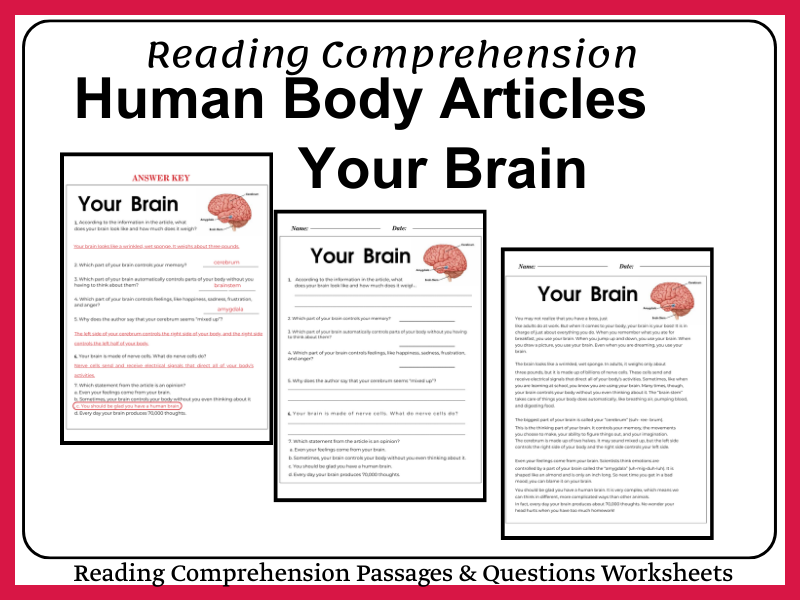 The Human Brain (Reading Passage & Comprehension Pack)