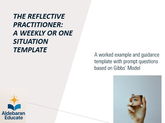 Reflective Practitioner Weekly template