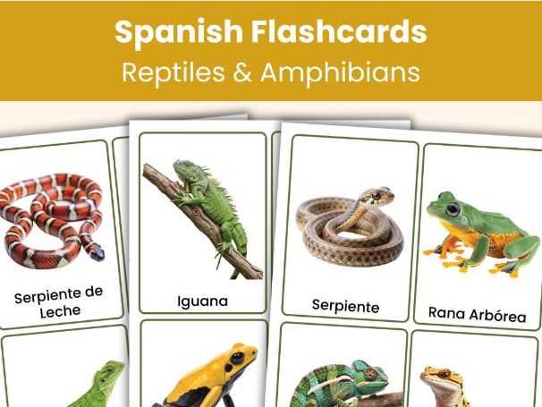 Spanish Reptiles and Amphibians Flashcards | Spanish Animal Vocabulary Cards (24 Printable Cards)