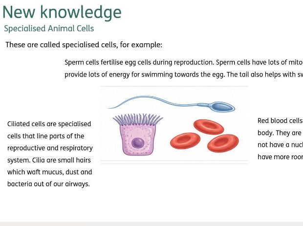 Lesson Biology KS3 Activate 1.3 Specialised cells