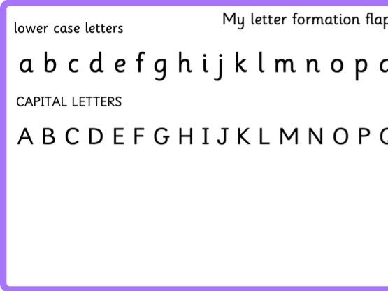 Literacy Book Inserts